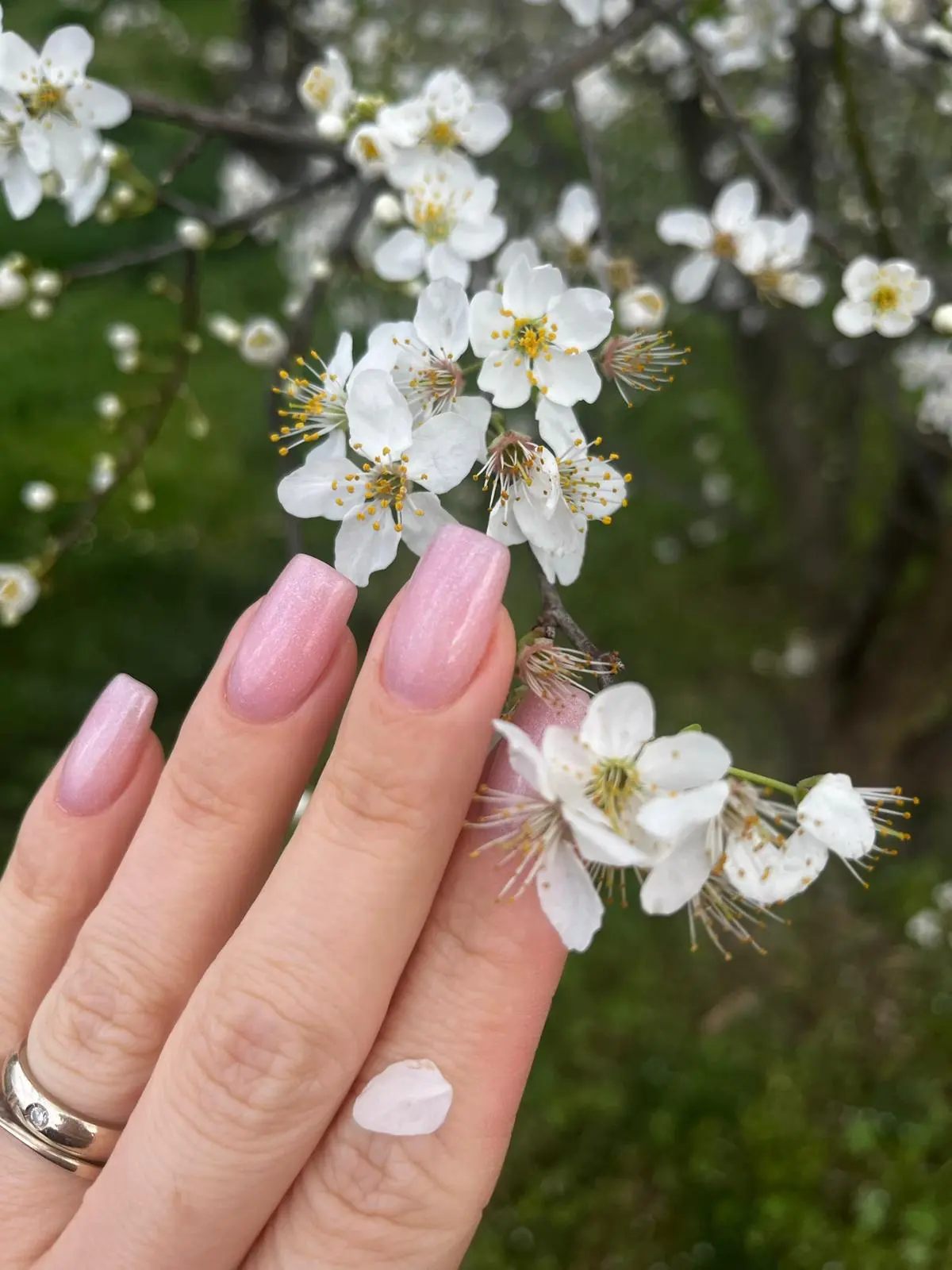 Nail Art